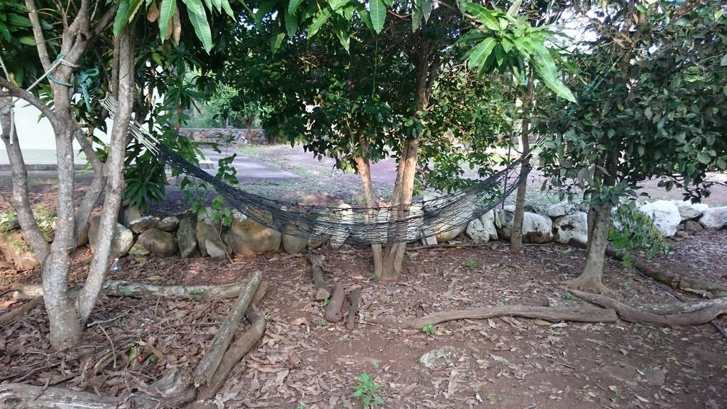 Cucuve Eco Hostal Puerto Baquerizo Moreno Buitenkant foto